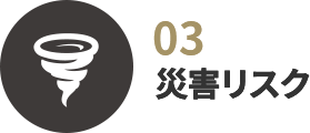 災害リスク